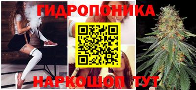 спиды Кимры