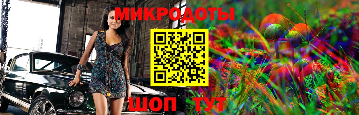 купить наркотик  Галлюциногенные грибы GOLDEN TEACHER  Вход с VPN  Кстово 