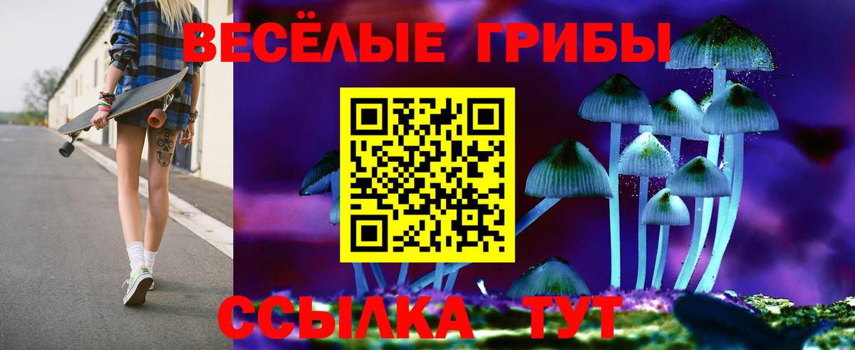 Псилоцибиновые грибы Cubensis Кстово